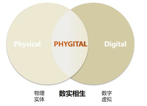 數實相生 數字化服務轉型發展的統籌與融通